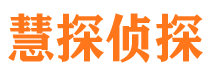 上高调查公司